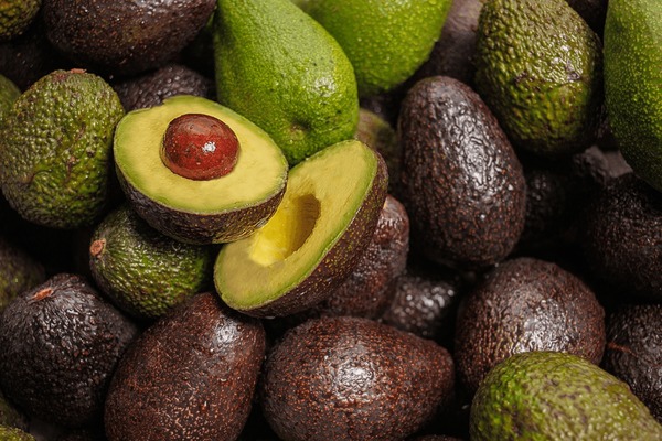Avocado Graft - Image 1